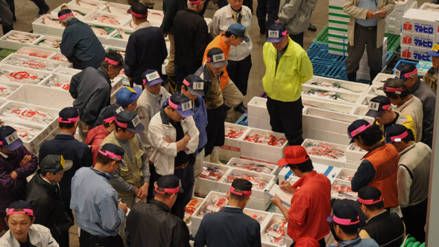 沼津魚市場INO