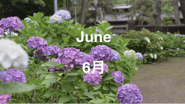 ６月のイベント