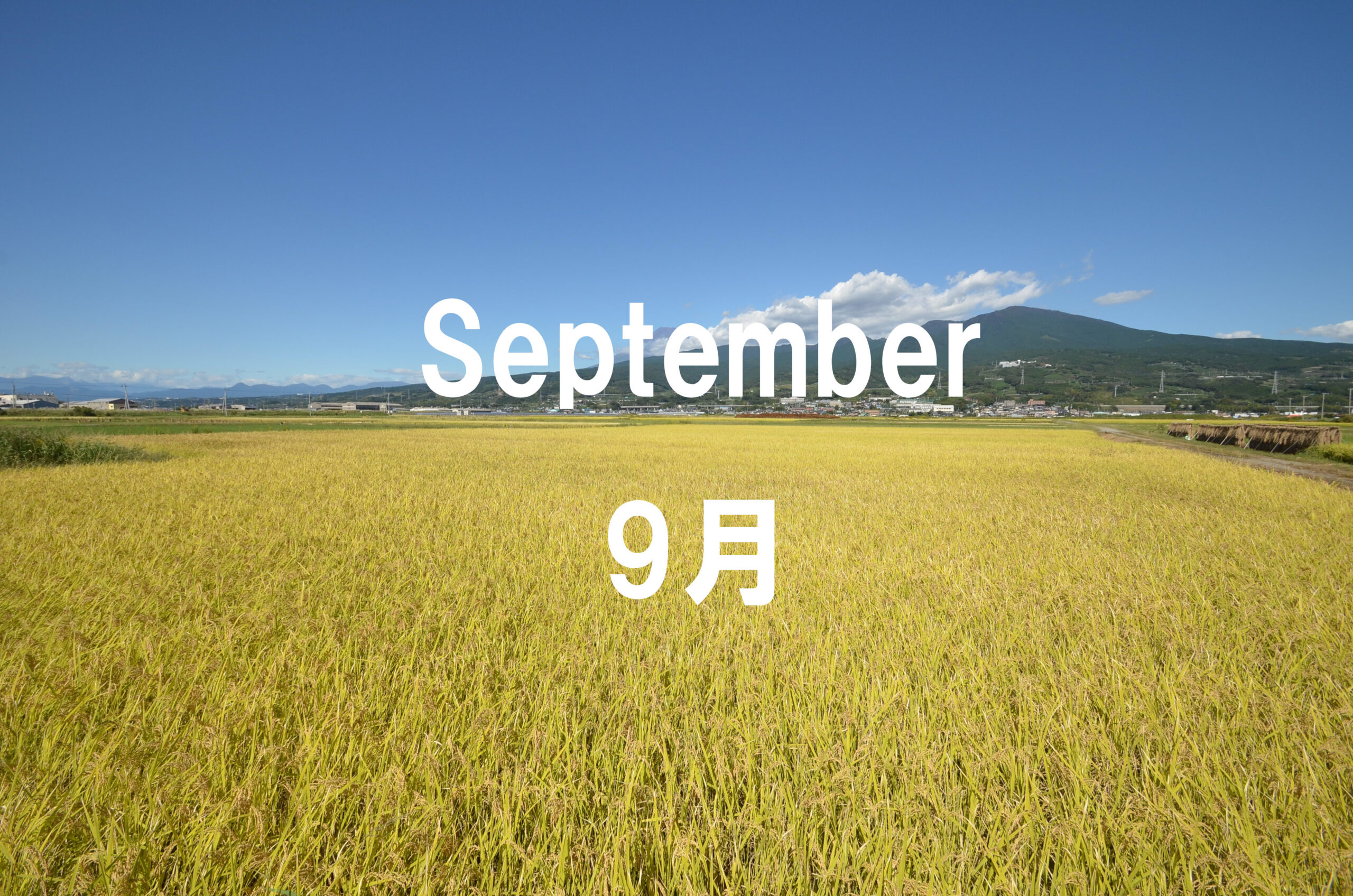 September