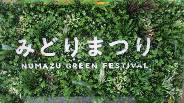 第100回みどりまつりに行ってきました！